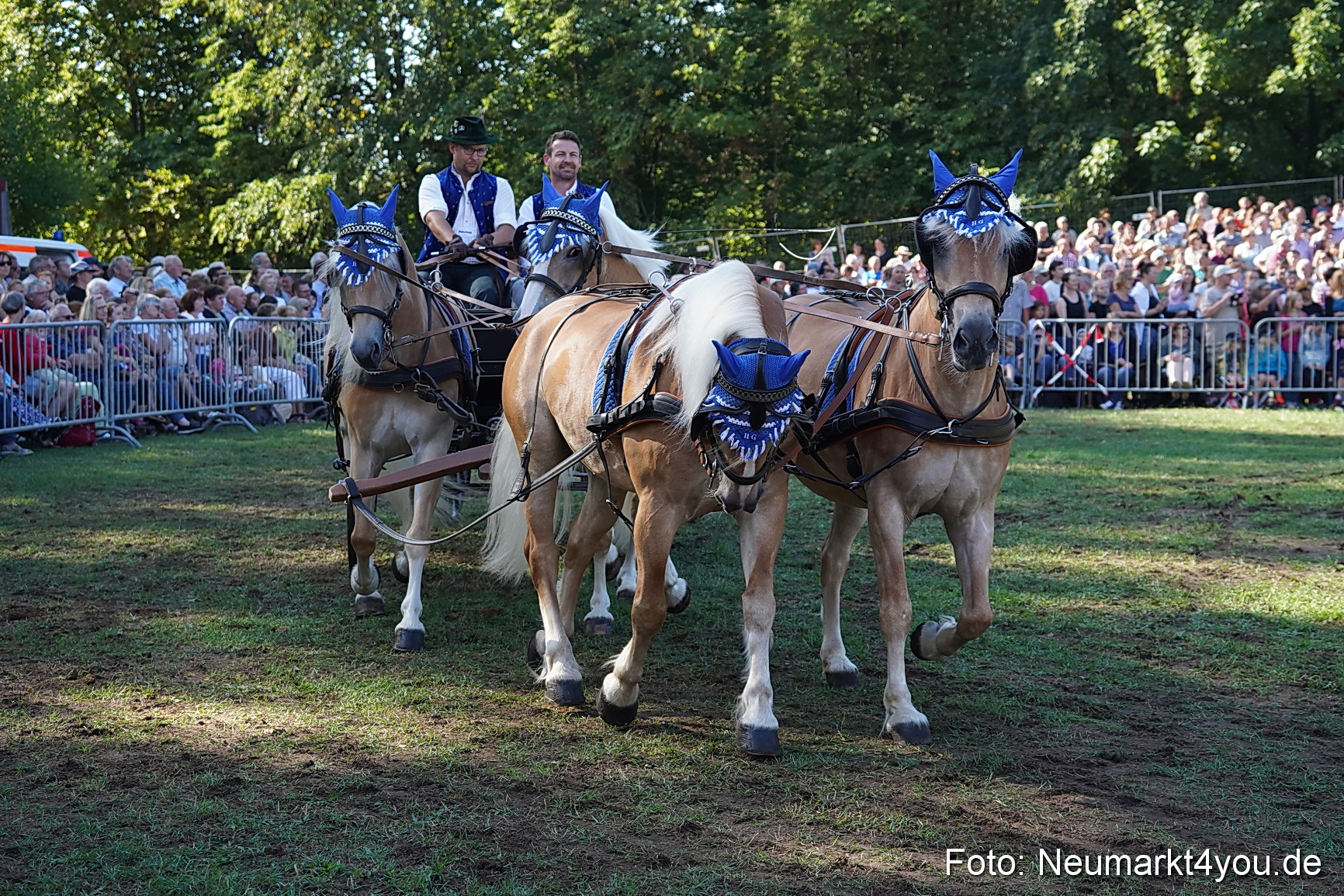Pferde und Fohlenschau 2022 0115 